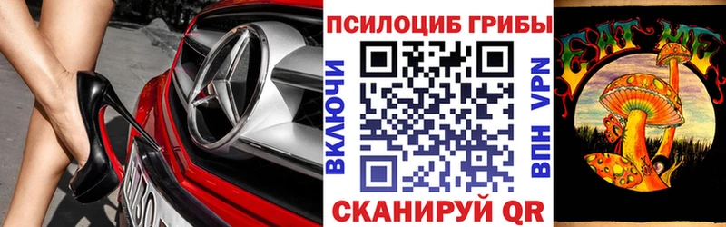 Псилоцибиновые грибы Psilocybe  Холм 